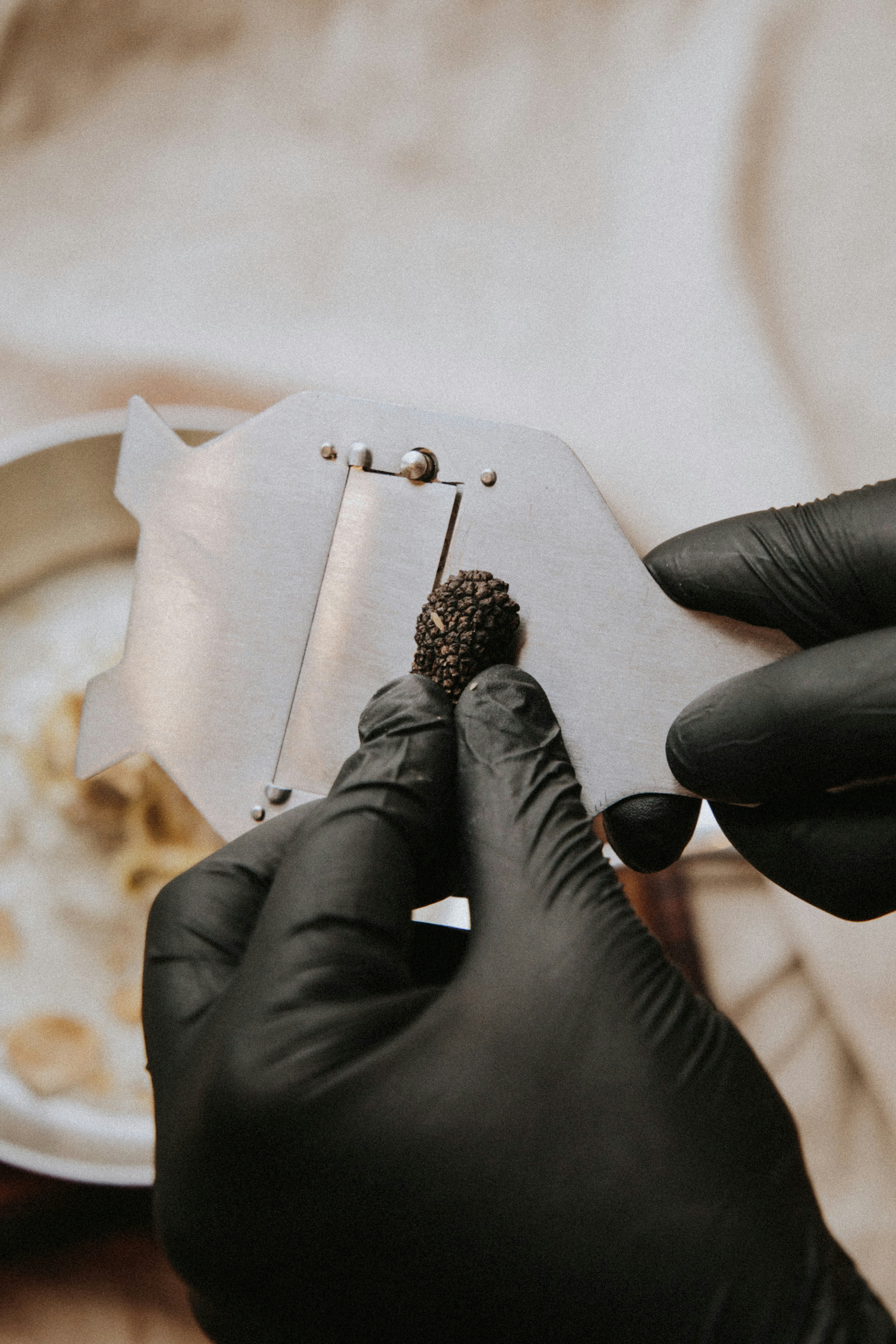 Piemonte White Truffle